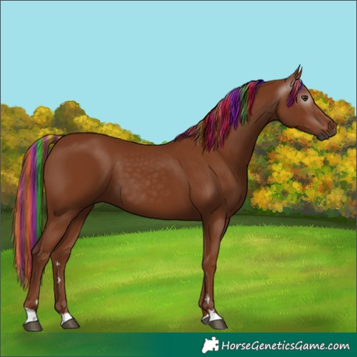 Horse Color:Gray Painted Chestnut 