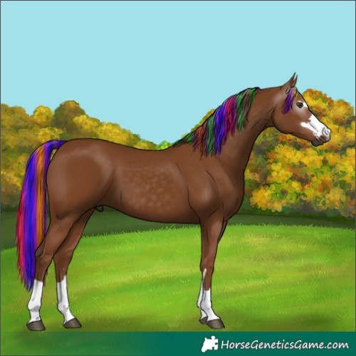 Horse Color:Gray Painted Chestnut