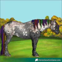 Horse Color:Void Painted White Spotted Liver Red Onyx Ice Splash Tobiano Brindle