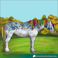 Horse Color:ERROR: UNKNOWN ANOMALY