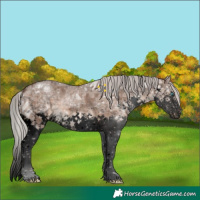Horse Color:Void Silver Brown Ice Dun Splash Tobiano Brindle
