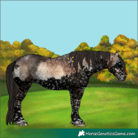 Horse Color:Void Liver Red Onyx Ice Sabino Splash Tobiano Brindle