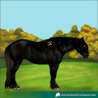 Horse Color:Void Liver Chestnut Sabino Splash 
