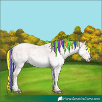 Horse Color:Painted White Spotted Chocolate Silver Sable Champagne Ice Dun Splash Snowflake Varnish