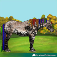 Horse Color:Void Painted Liver Red Dun Ice Sabino Splash Tobiano Brindle