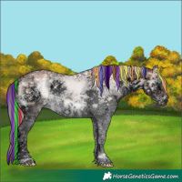 Horse Color:Void Painted Chocolate Silver Brown Ice Onyx Sabino Splash Tobiano Brindle