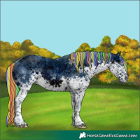 Horse Color:ERROR: UNKNOWN ANOMALY