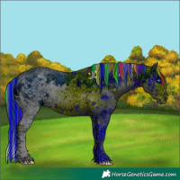 Horse Color:ERROR: UNKNOWN ANOMALY
