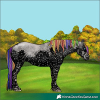 Horse Color:Void Platinum Painted White Spotted Liver Red Dun Splash Tobiano Brindle