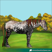 Horse Color:Void Painted White Spotted Liver Red Dun Ice Splash Tobiano Brindle