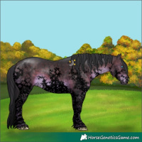 Horse Color:Void Brown Sabino Splash Tobiano 
