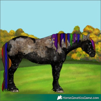 Horse Color:Void Painted Chocolate Buckskin Ice Dun Sabino Splash Tobiano Brindle 