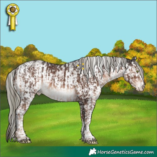 Horse Color:White Spotted Liver Chestnut Mushroom Sabino Appaloosa  and White Spotted Liver Chestnut Mushroom Sabino Appaloosa 
