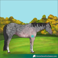 Horse Color:White Spotted Brown Ice Tobiano