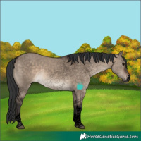 Horse Color:Void Brown Dun Sabino Tobiano Rabicano 