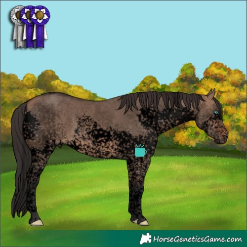 Horse Color:Void Brown Dun Splash Tobiano Rabicano