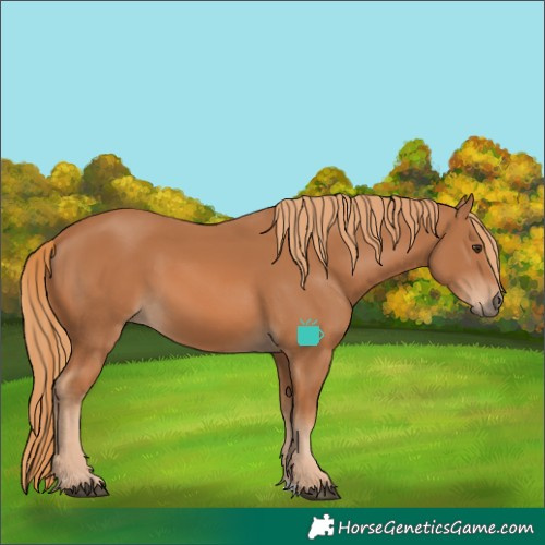 Horse Color:Unknown 