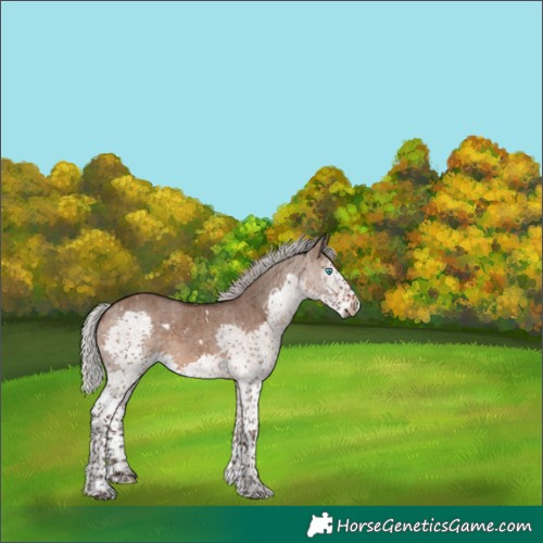 Horse Color:White Spotted Silver Brown Dun Splash 