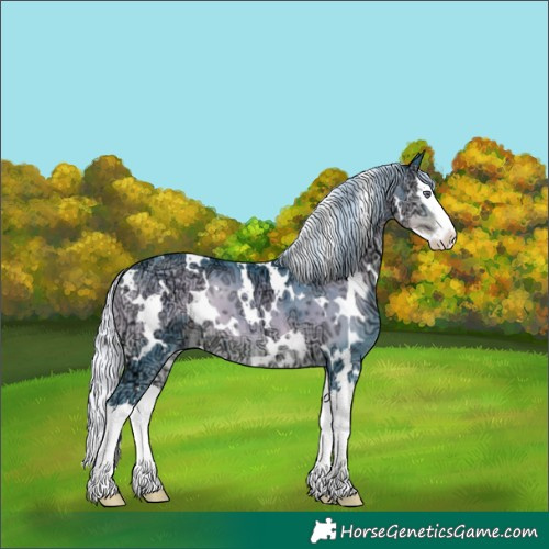 Horse Color:Watercolor White Spotted Silver Smoky Blue Onyx Chinchilla Ice Splash 