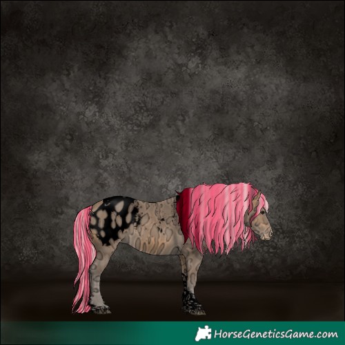 Horse Color:Powder White Void Painted Silver Buckskin Ice Tobiano Blanket