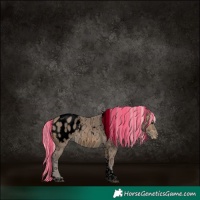 Horse Color:Powder White Void Painted Silver Buckskin Ice Tobiano Blanket 