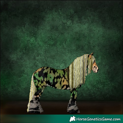 Horse Color:Void Painted White Spotted Silver Buckskin Appaloosa 