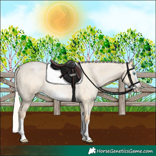 Horse Color:Silver Buckskin Roan Pearl Dun Splash Frame Rabicano 