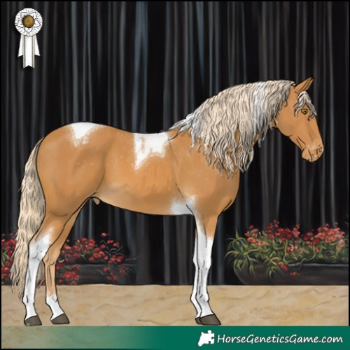 Horse Color:Palomino Tobiano Varnish