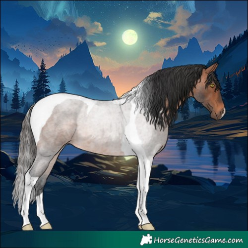 Horse Color:Bay Roan Tobiano