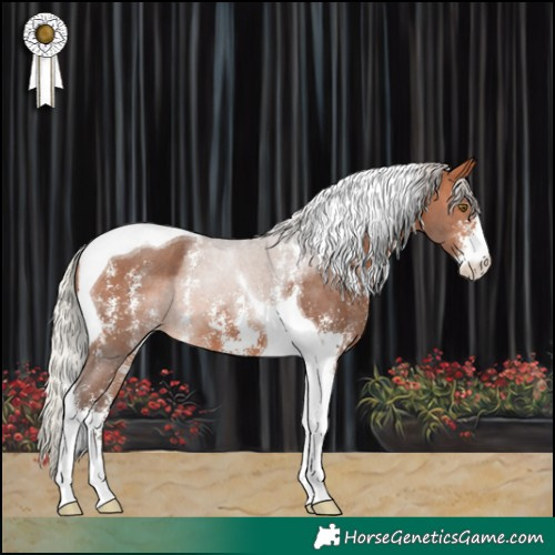 Horse Color:Silver Bay Sabino Tobiano Varnish