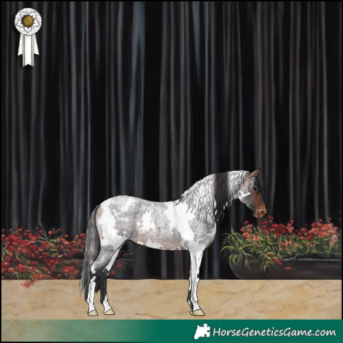 Horse Color:White Spotted Bay Roan Blanket