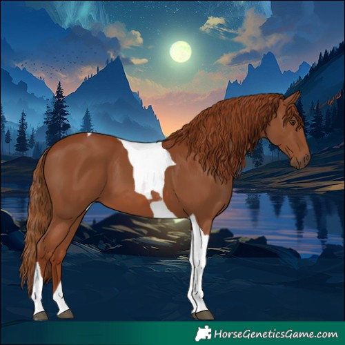 Horse Color:Chestnut Tobiano 