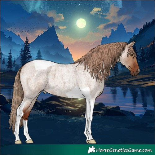 Horse Color:Red Dun Roan Tobiano