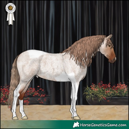 Horse Color:Red Dun Roan Tobiano