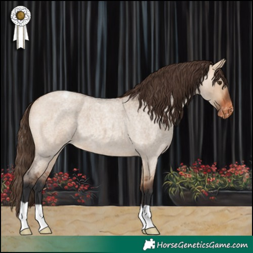 Horse Color:Bay Roan Dun Varnish