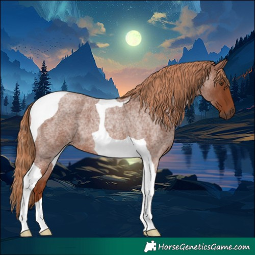 Horse Color:Red Roan Tobiano 