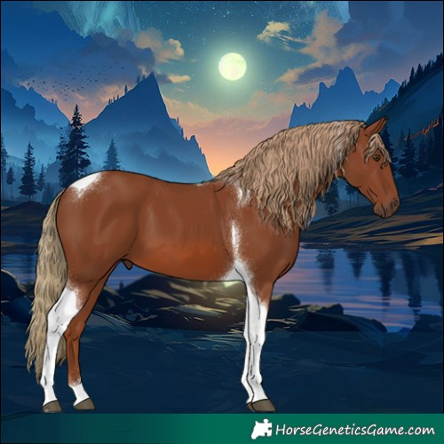 Horse Color:Chestnut Tobiano 
