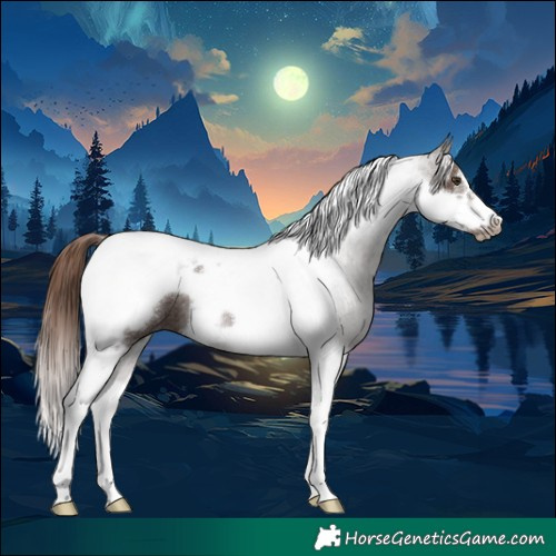 Horse Color:Liver Red Roan Tobiano Frame