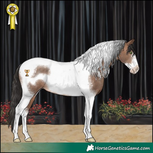 Horse Color:Sable Champagne Tobiano Frame Rabicano
