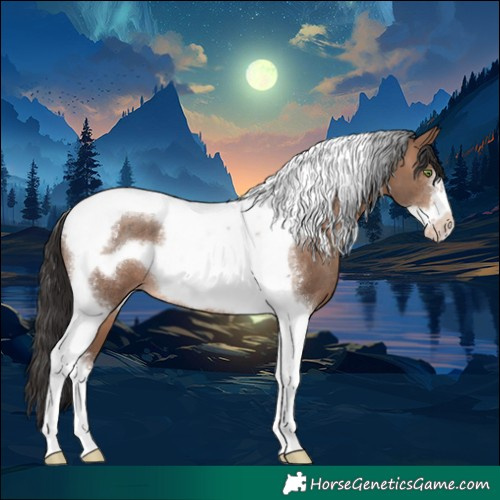 Horse Color:Sable Champagne Tobiano Frame Rabicano 