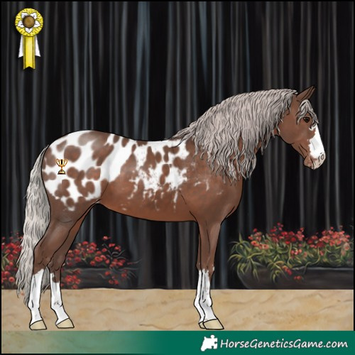 Horse Color:Silver Black Near Leopard 