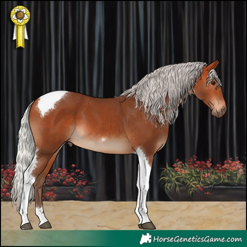 Horse Color:Silver Bay Tobiano