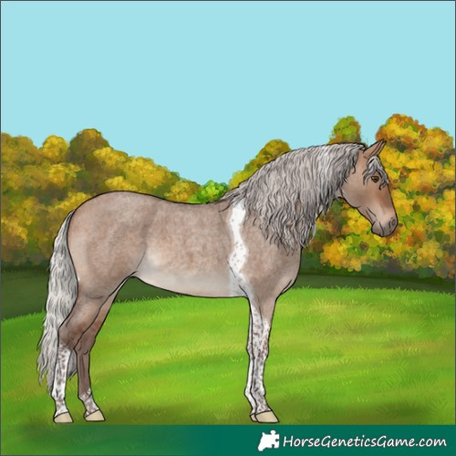 Horse Color:Silver Bay Roan Dun Tobiano 