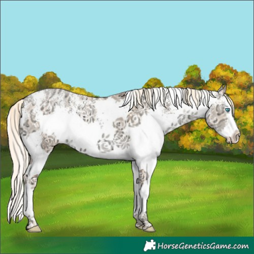 Horse Color:Watercolor White Spotted Chocolate Palomino Ice Snowdrop Dun Splash