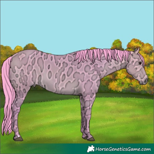 Horse Color:Watercolor Buckskin Ice