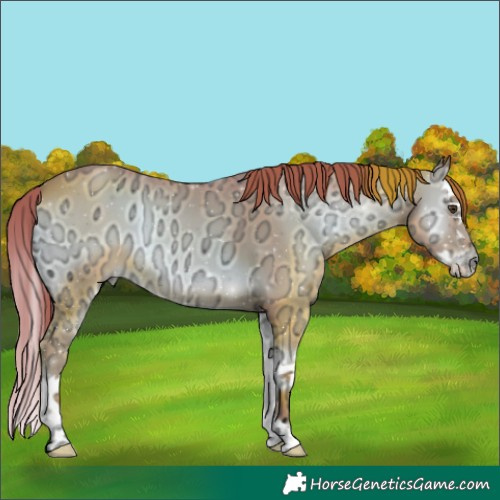 Horse Color:Watercolor Red Onyx Ice Splash