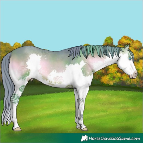 Horse Color:Watercolor Brown Onyx Splash