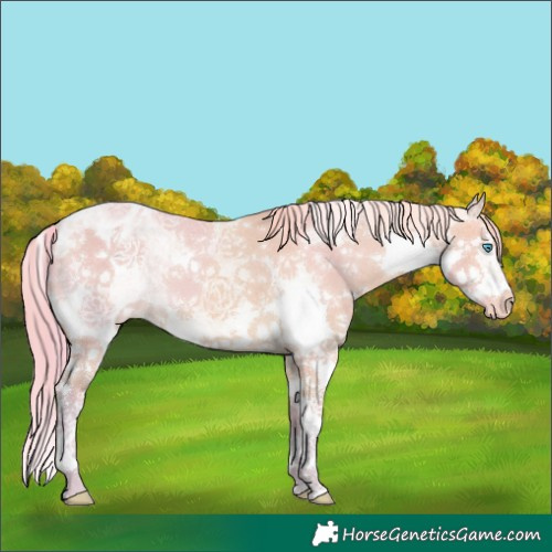 Horse Color:Watercolor White Spotted Perlino Splash Varnish