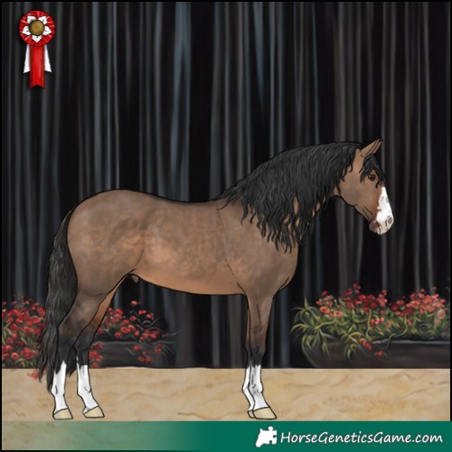 Horse Color:Brown Dun