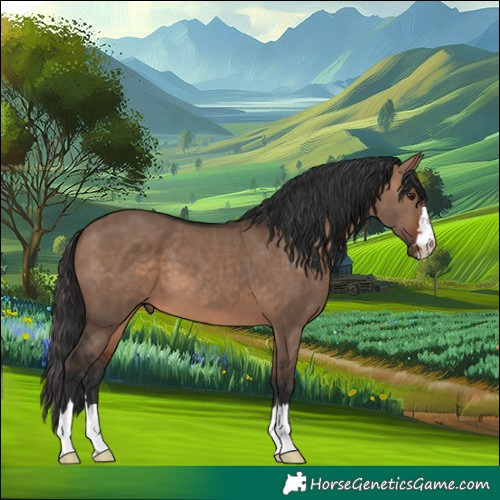 Horse Color:Brown Dun